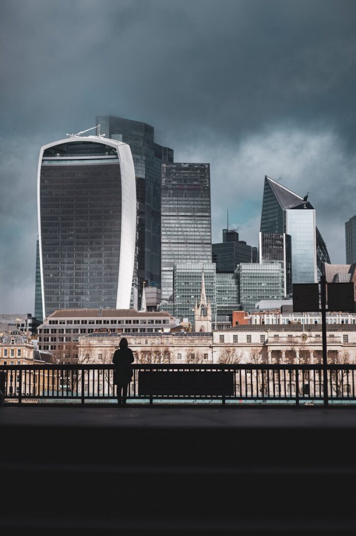 A person standing on a bridge with a city in the background