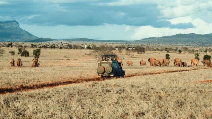 farm during daytime